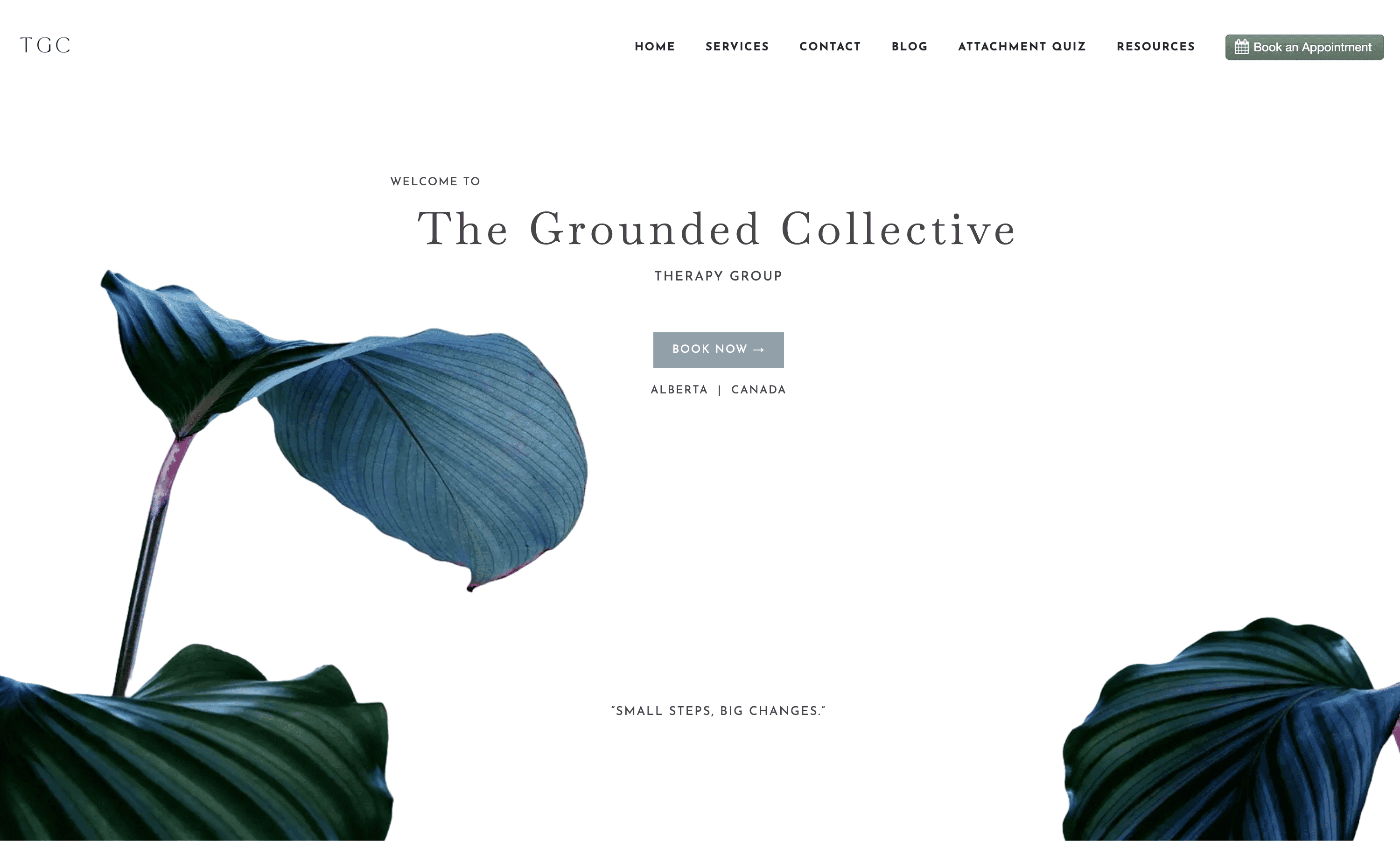 Clean capture preview