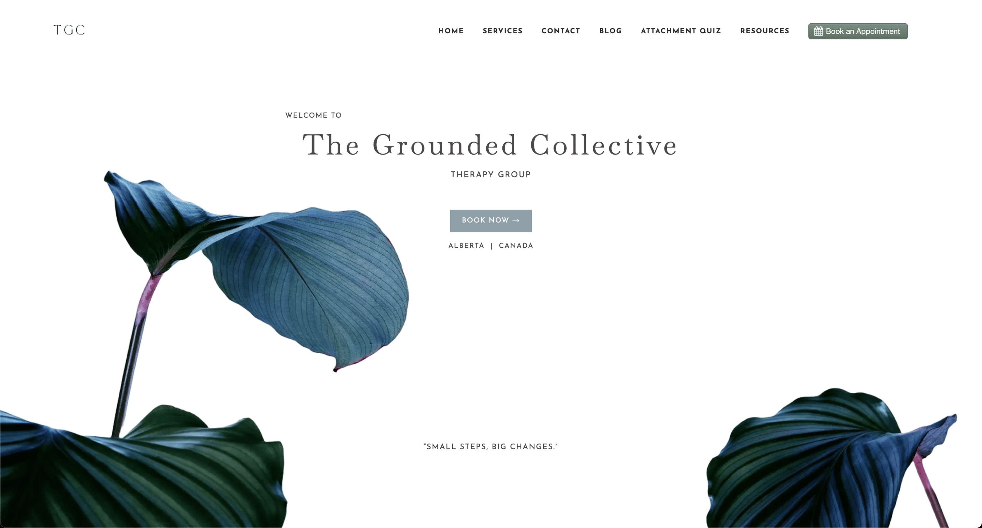 Therapy practice website